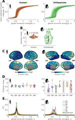 New paper: Evolutionary shaping of human brain dynamics