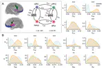 Mechanisms and interventions promoting healthy frontostriatal dynamics in obsessive-compulsive disorder