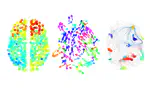 Metastable brain waves