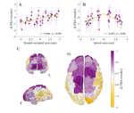 Maturation of neuronal activity in the human cortex exhibits robust spatial gradients across the birth transition